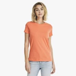 Discount 🥰 Nautica 👩 Womens Solid Crewneck T-Shirt 🥰